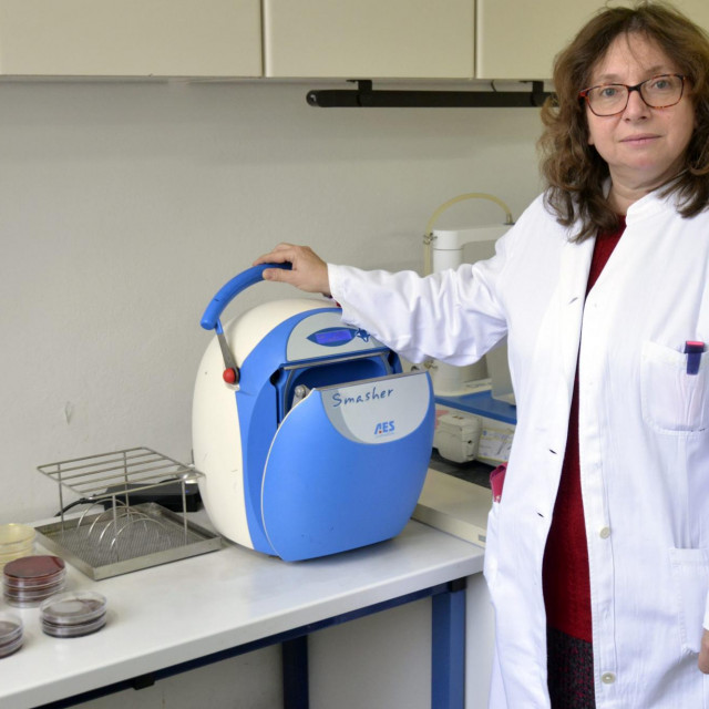  dr. Ivancica Kovacek