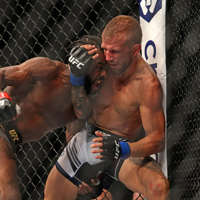 T.J. Dillashaw