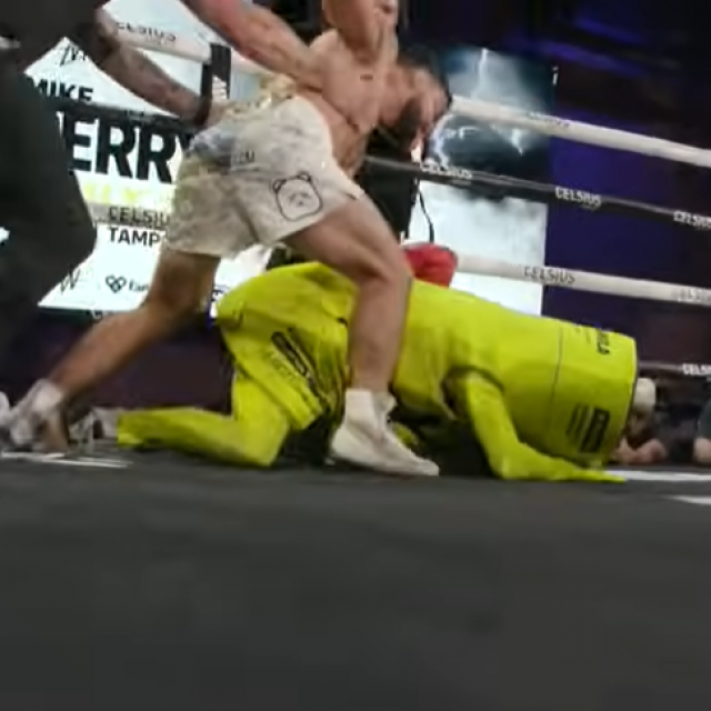 Mike Perry vs. maskota