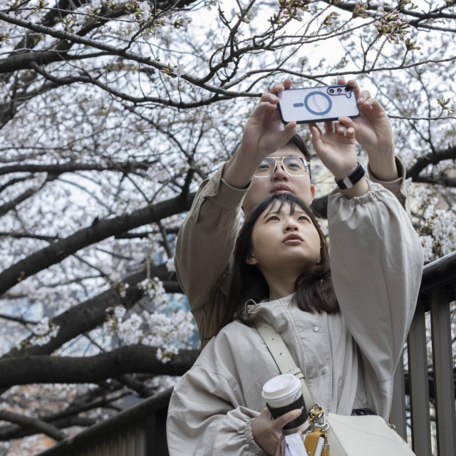 Mladi par u Japanu, ilustracija