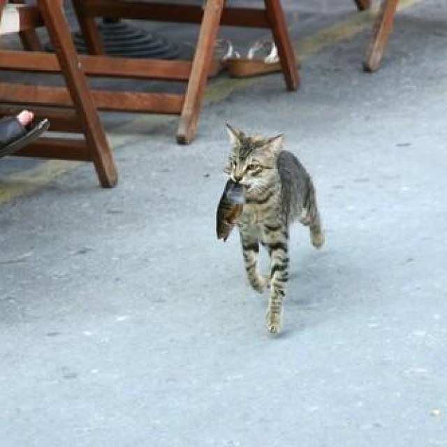 Image: 3734019, License: Rights-managed, Restrictions:, Model Release: no, Credit line: Alastair Balderstone/Alamy/Profimedia