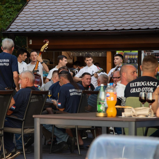 Domjenak u Virovima