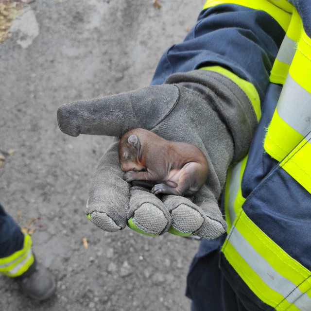 Maleni Pablo, spašen i siguran usnuo je u ruci heroja vatrogasca