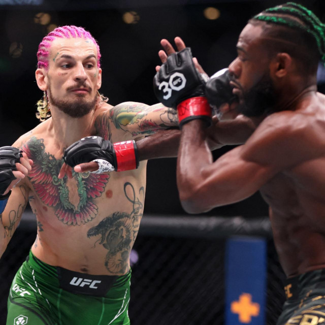 Sean O‘Malley vs. Aljamain Sterling
