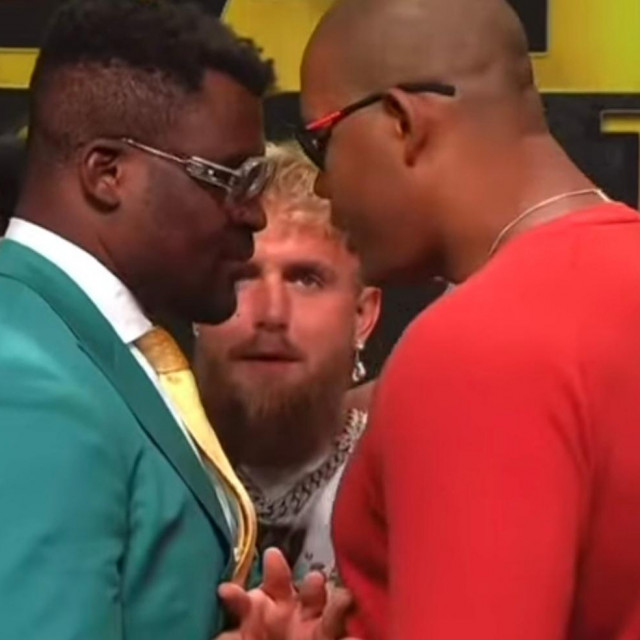 Francis Ngannou vs. Renan Ferreira