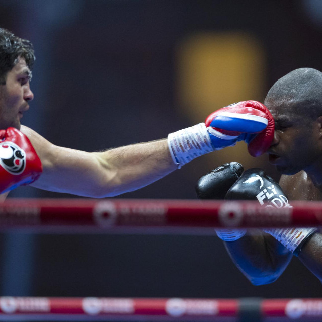 Hrgović vs. Dubois