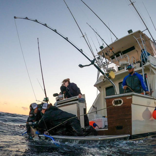 Ilustrativna fotografija