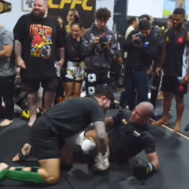 Alex Pereira i Dillon Danis