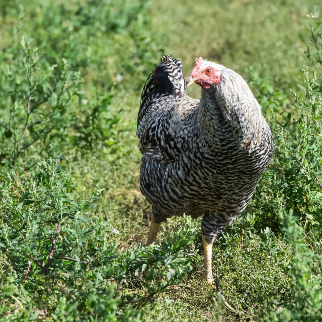 Ilustrativna fotografija