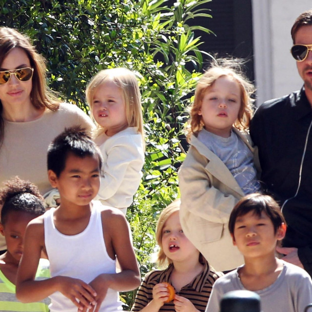 Angelina i Brad s djecom