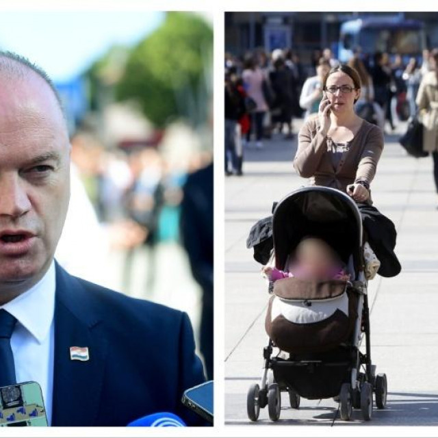 Ivan Šipić, ministar demografije