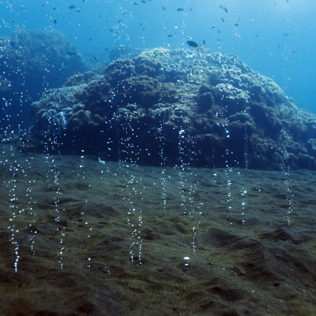 Ilustrativna fotografija