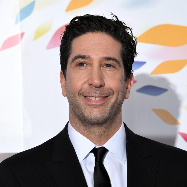 David Schwimmer
