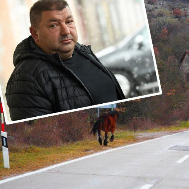 Danko Ivanišević i konji u Lici bez nadzora šetaju prometnicama dovodeći u opasnost vozače na cesti