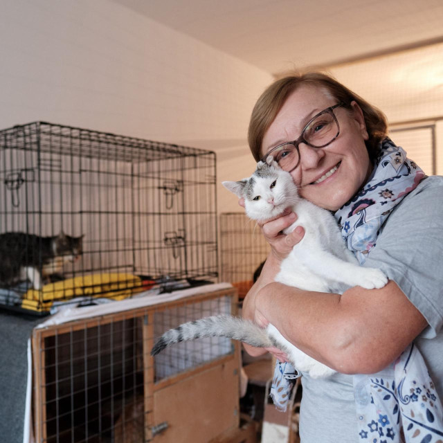 Mandica Tomašević spasila je živote brojnim mačkama