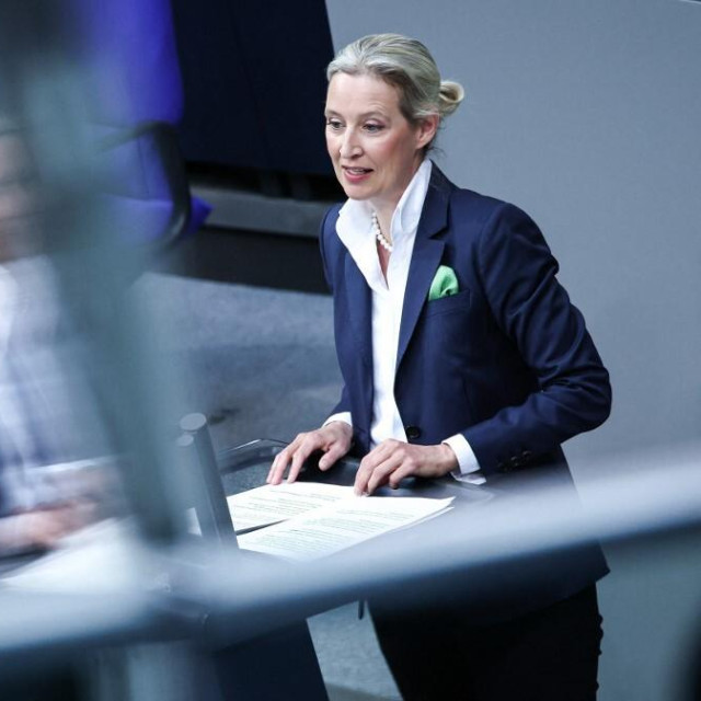 Alice Weidel, Čelnica stranke Alternativa za Njemačku (AfD)