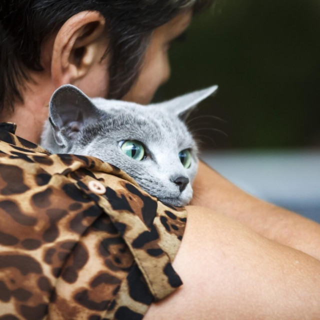 Ilustrativna fotografija