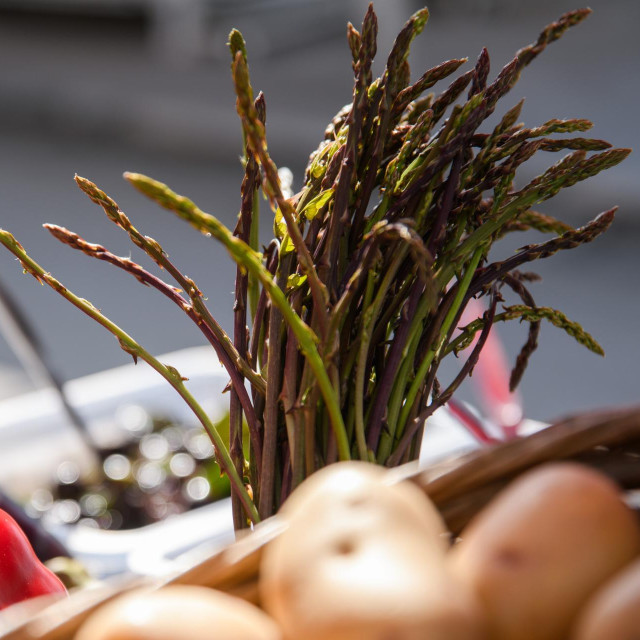Divlje šparoge na splitskom Pazaru prodaju se po cijeni od 10 do 12 eura za stručak od 100 do 200 grama