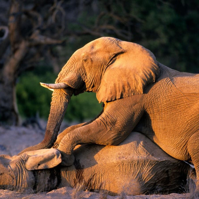 Ilustrativna fotografija