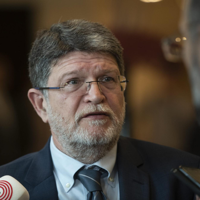 Tonino Picula, zastupnik u Europskom parlamentu