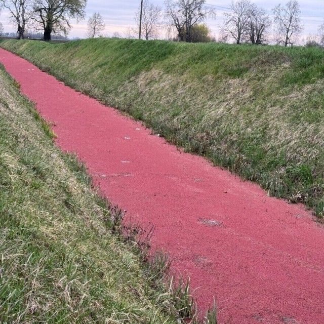 Krvava voda u Baranji