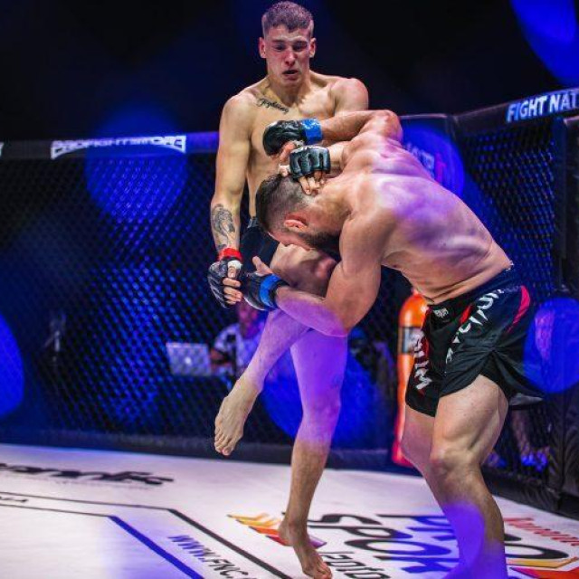 Ilija Brkan