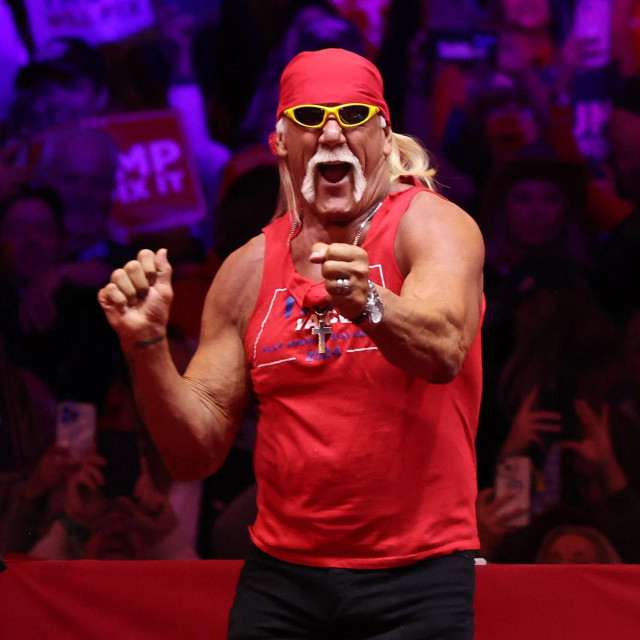 Hulk Hogan