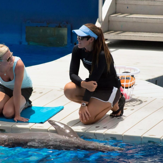 Ilustrativna fotografija