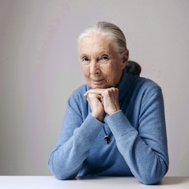 Jane Goodall