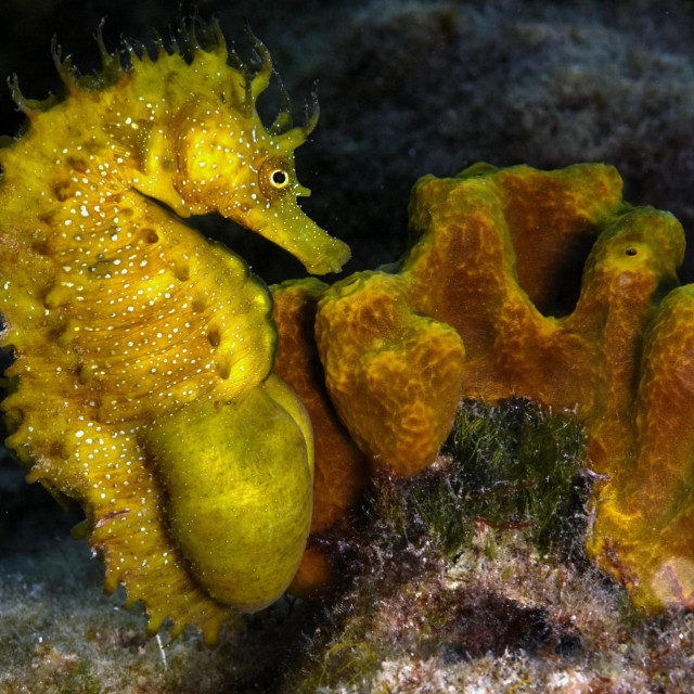 Ilustrativna fotografija