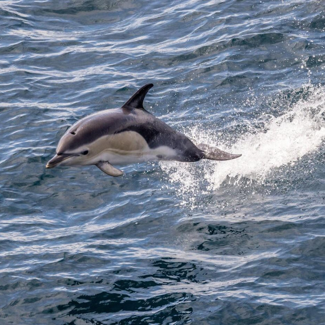 Ilustrativna fotografija