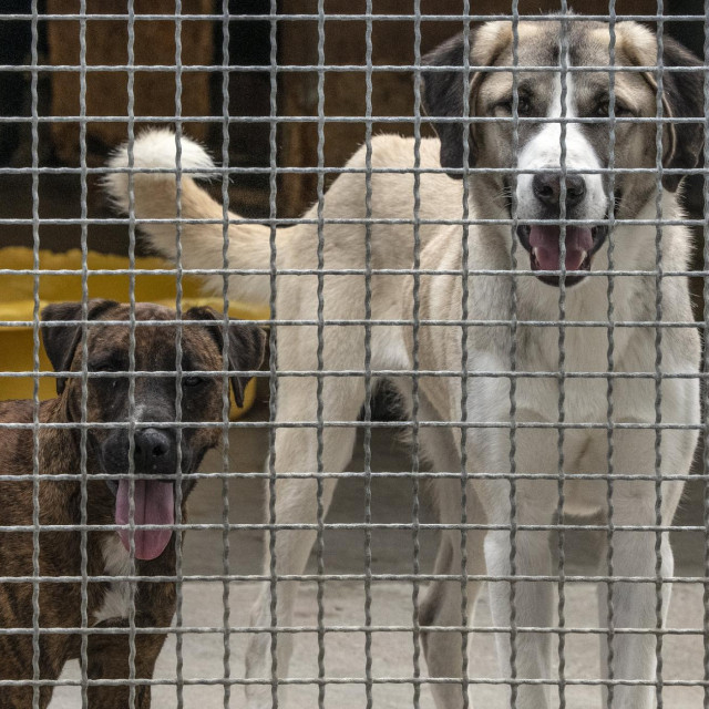 Ilustrativna fotografija