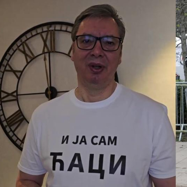 Aleksandar Vučić; prosvjed u Pionirskom parku u Beogradu