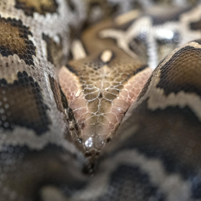 Ilustrativna fotografija