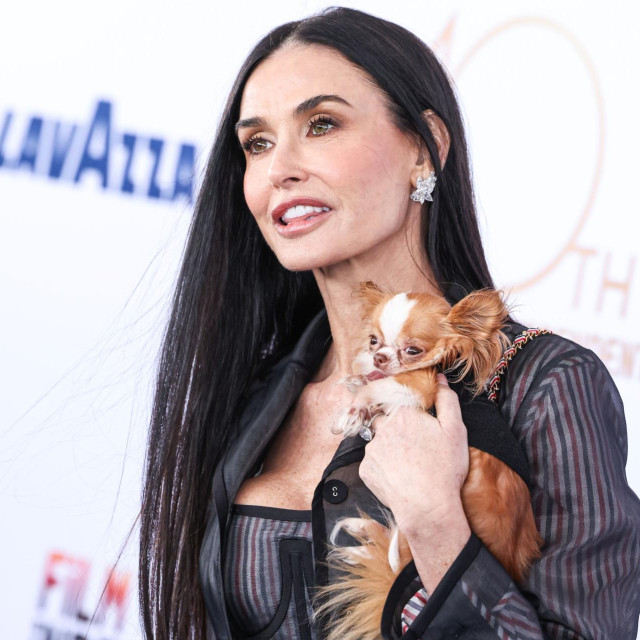 Demi Moore još je u veljači ove godine pozirala s ljubimcem, chihuahuom Pilafom na holivudskom događanju - s dugom kosom
 
