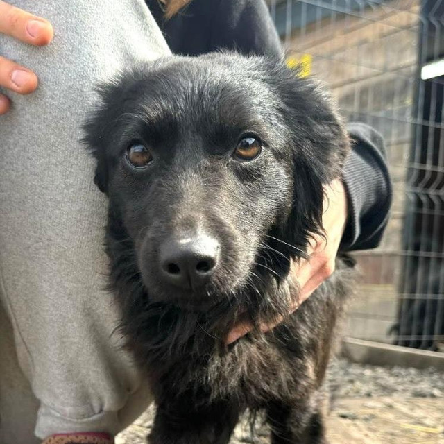 Ilustrativna fotografija