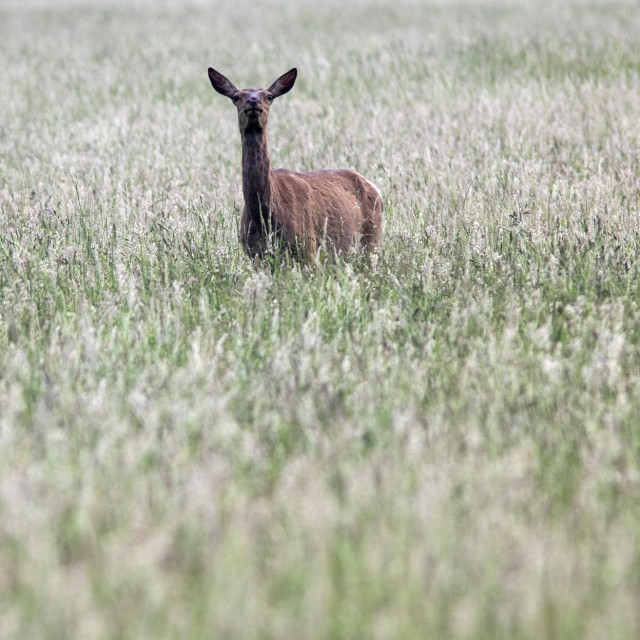 Ilustrativna fotografija