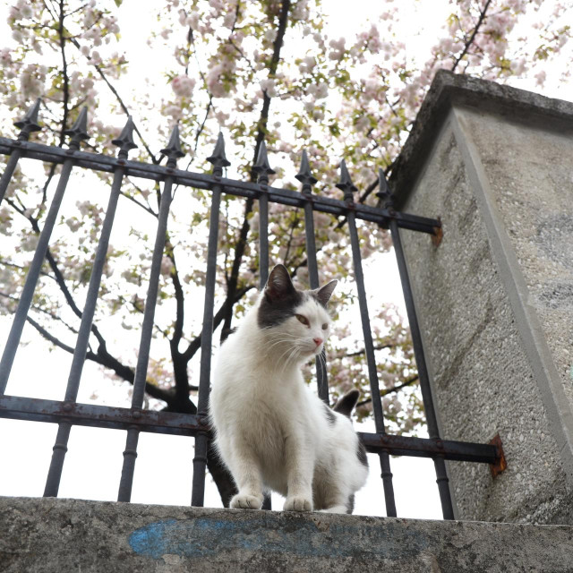 Ilustrativna fotografija