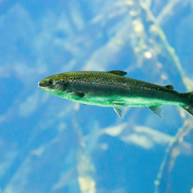 Ilustrativna fotografija