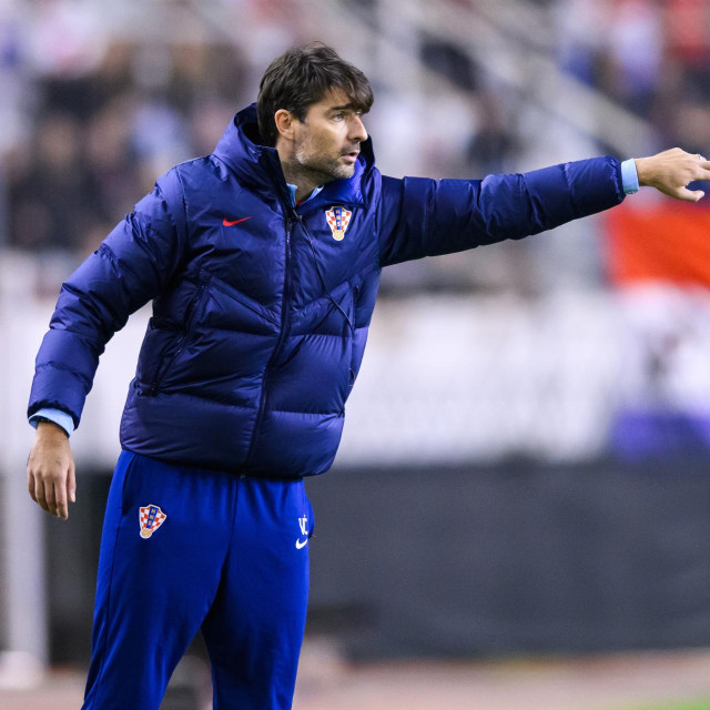 Vedran Ćorluka