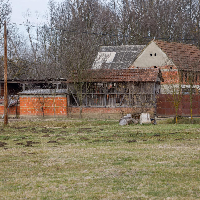 Selo Kupina u kojemu su držane zlostavljane životinje