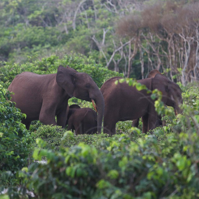 Ilustrativna fotografija