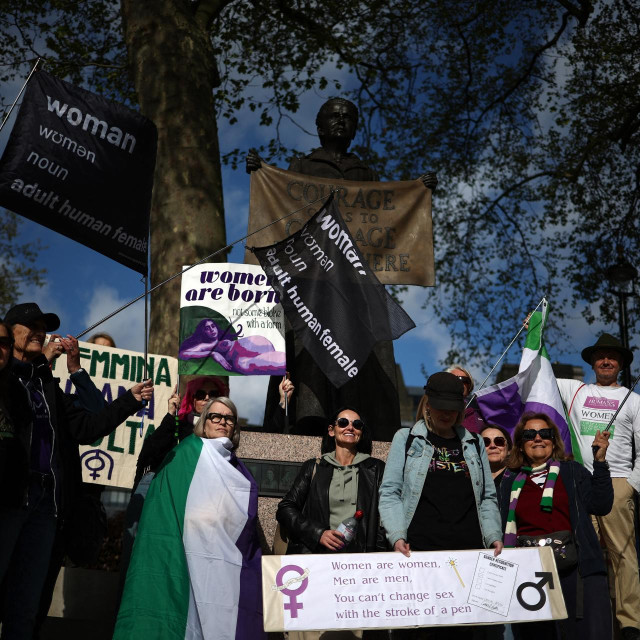 Prosvjed uoči donošenja presude na Vrhovnom sudu u Londonu