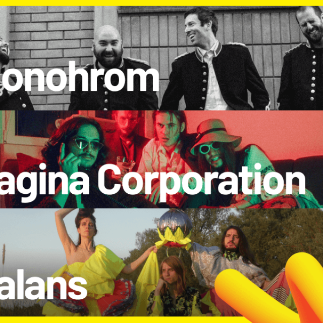 Monohrom, Vagina Corporation, balans