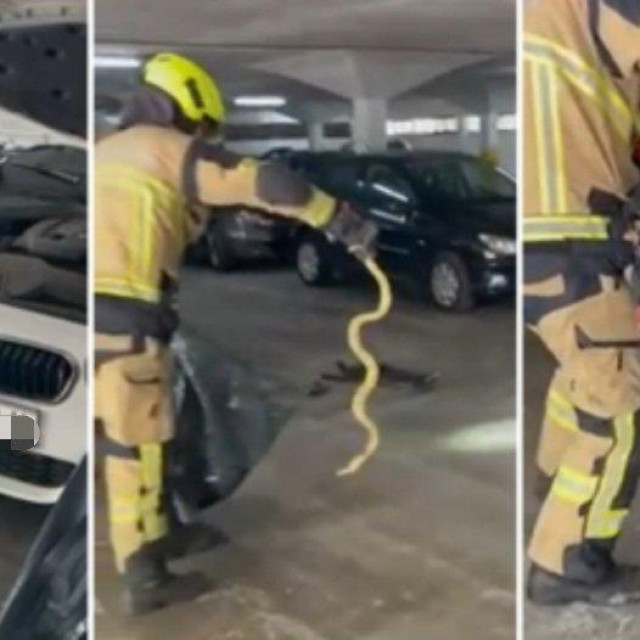 Prizor s prošlogodišnje intervencije, ilustrativna fotografija