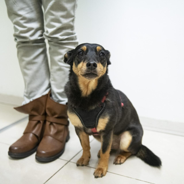 Ilustrativna fotografija