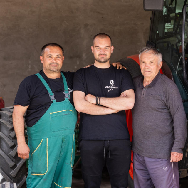Predrag, Nikola i Anđelko Paprić