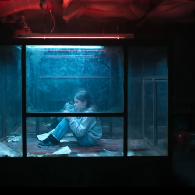 staklena kupola netflix