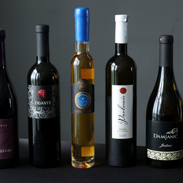 Šampioni 31. Vinistre