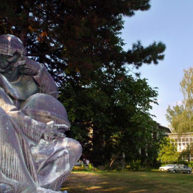 institut ruđer bošković